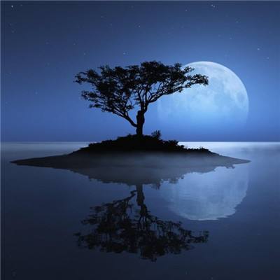 ayx在线登录入口下载手机版截图